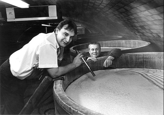 1981